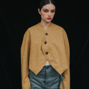 LA CHAQUETA DORADA